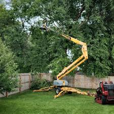 Grass Overseeding in Montgomery, TX